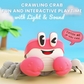 Crawling Crab Toy 